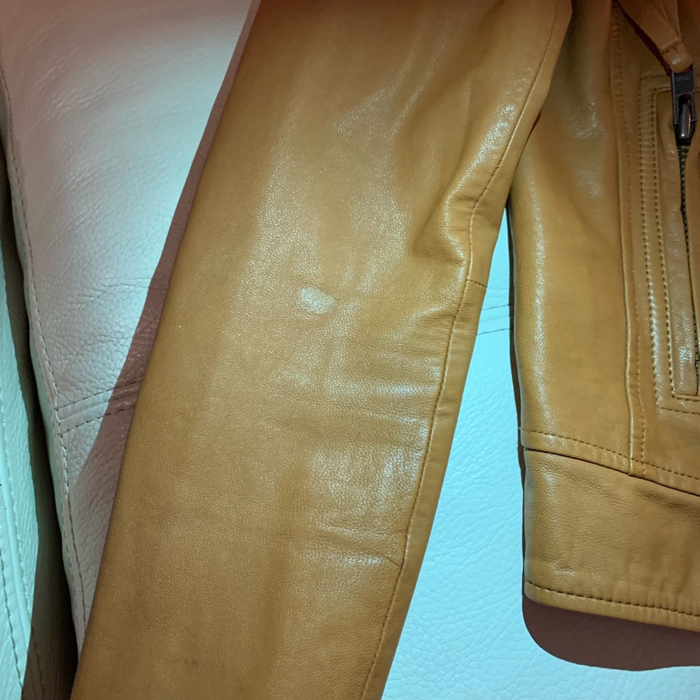 Joie Lamb Leather Ailey Paper Weight Moto Jacket - Picture 8 of 16